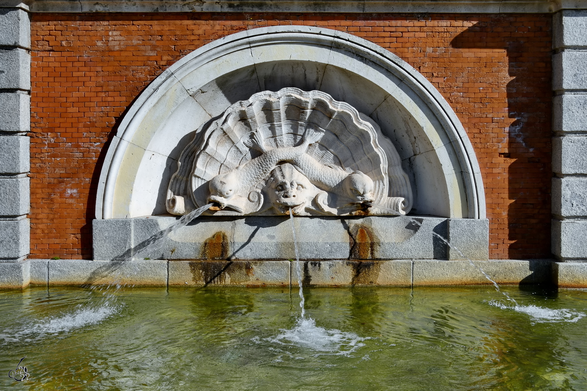 Dieser Muschelbrunnen (Fuente de la Concha del Parterre) befindet sich im Retiro-Park von Madrid. (November 2022)