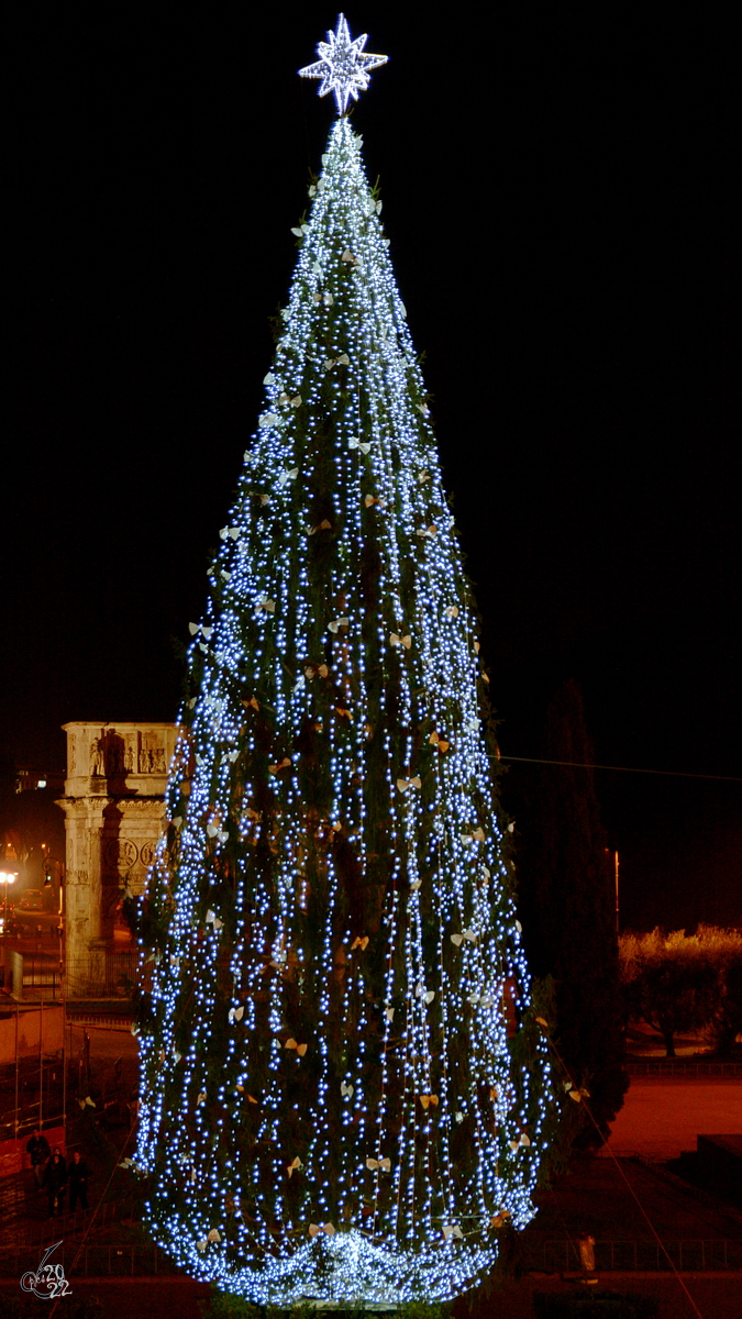 Dieser Weihnachtsbaum wurde im Dezember 2015 in Rom aufgestellt.