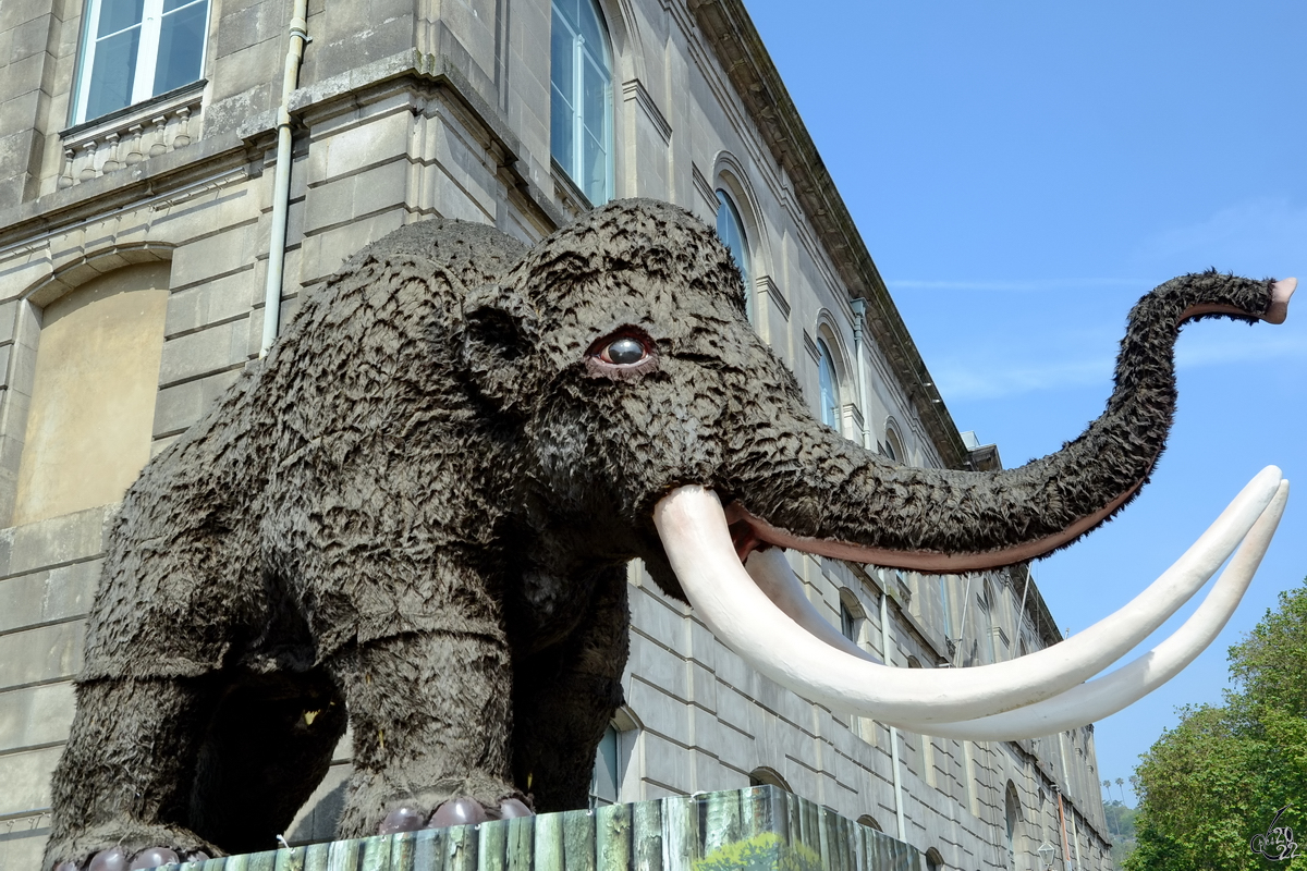 Dieses Mammut ldt zu einem Museumsbesuch ein. (Porto, Mai 2013)