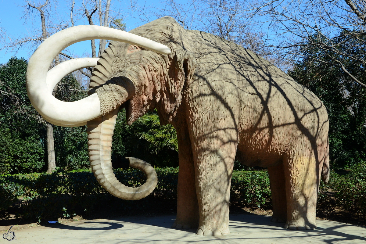 Dieses steinernde Mammut ist im Parc de la Ciutadella zu finden. (Barcelona, Februar 2013)