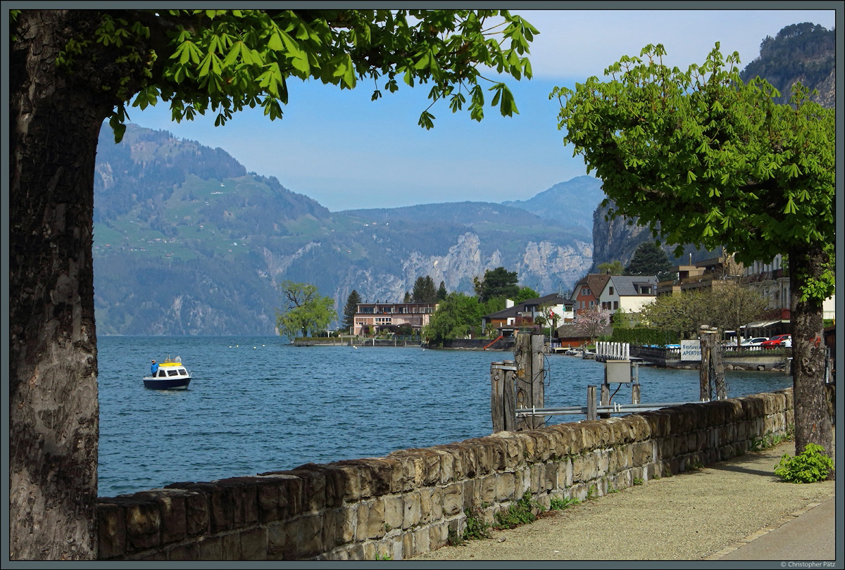 Direkt am Ufer des Vierwaldstttersees liegt der Ort Flelen. (22.04.2022)