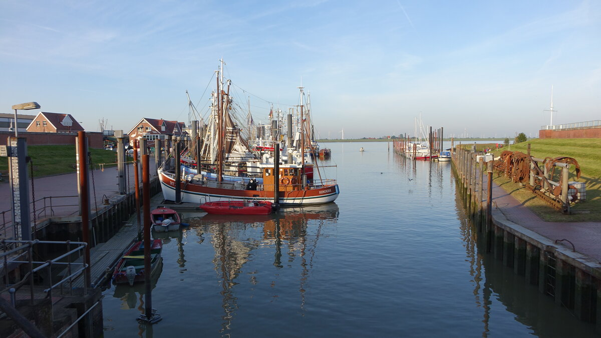 Ditzum, Huser und Fischerboote am Hafen (10.10.2021)