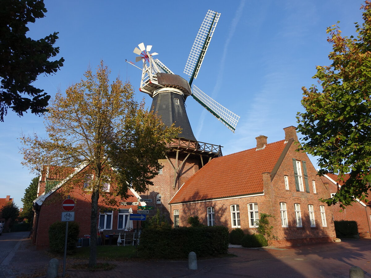 Ditzum, Windmhle, erbaut 1769 durch den Jemgumer Mller Conrad Kreling (10.10.2021)