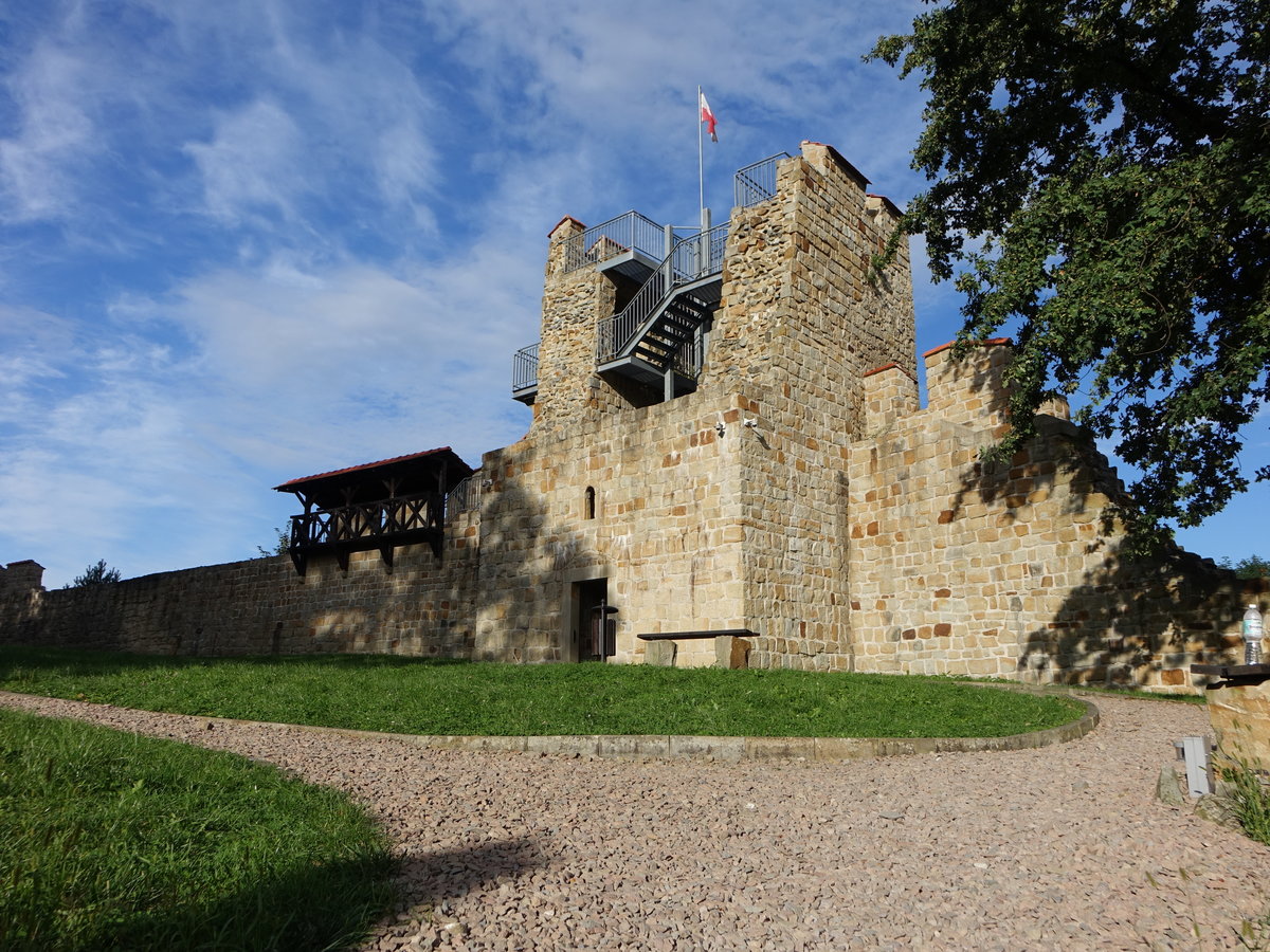 Dobczyce, Burgruine aus dem 14. Jahrhundert mit Regionalmuseum (03.09.2020)