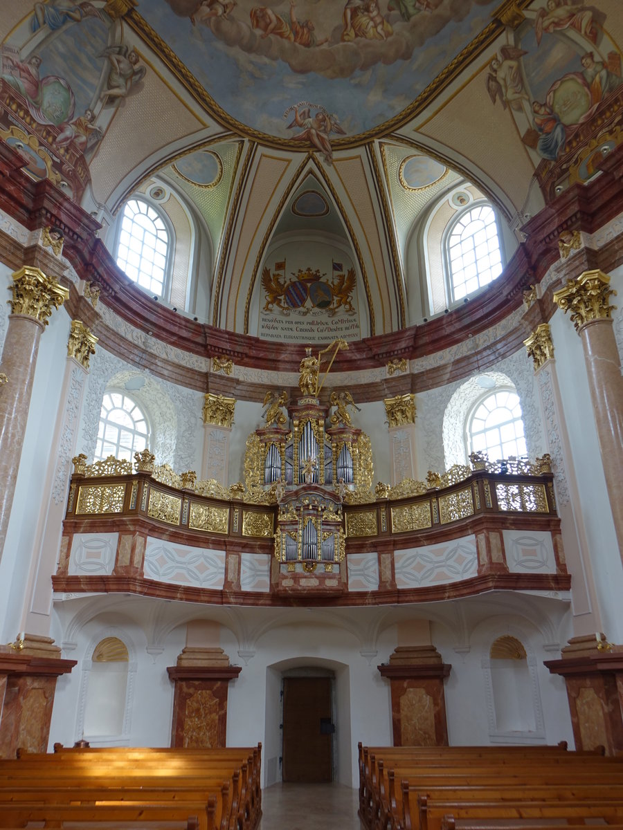 Dobra Voda, Orgelempore mit Orgel von 1727  in der Wallfahrtskirche Maria Trost (27.05.2019)