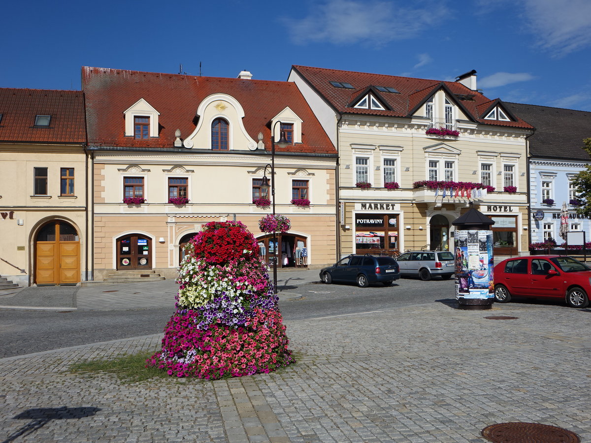 Dobrany, historische Gebude am Masarykovo Namesti (06.07.2019)