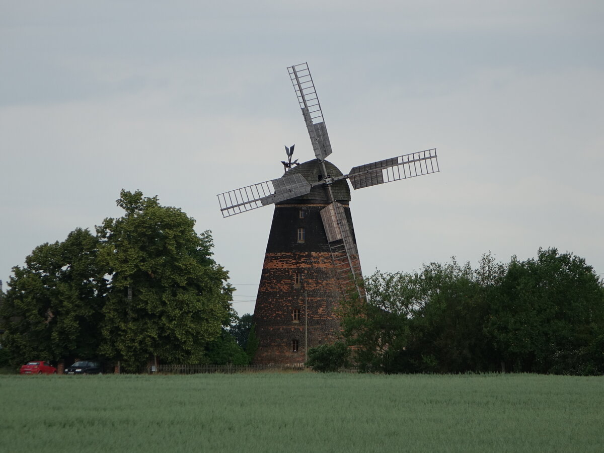 Drrwalde, Bockwindmhle, erbaut 1542 (08.06.2025)