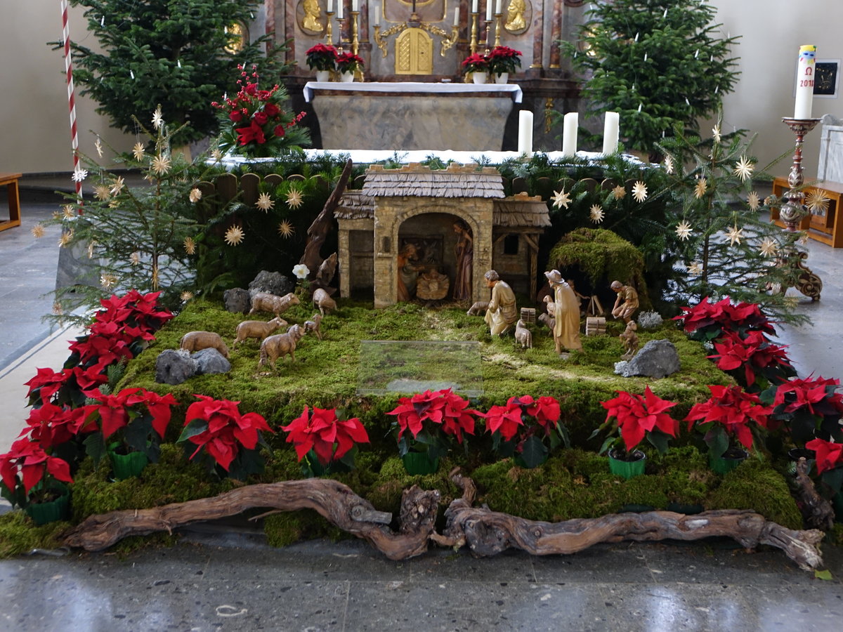 Dogern, Weihnachtskrippe vor dem Hochaltar in der St. Clemens Kirche (31.12.2018)