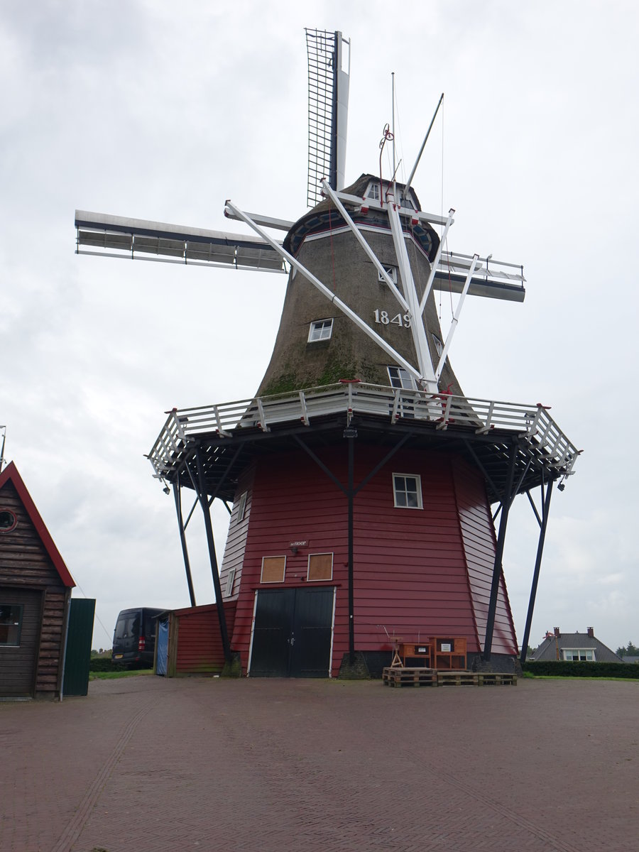 Dokkum, historische Windmhle de Hoop, erbaut 1849 (26.07.2017)