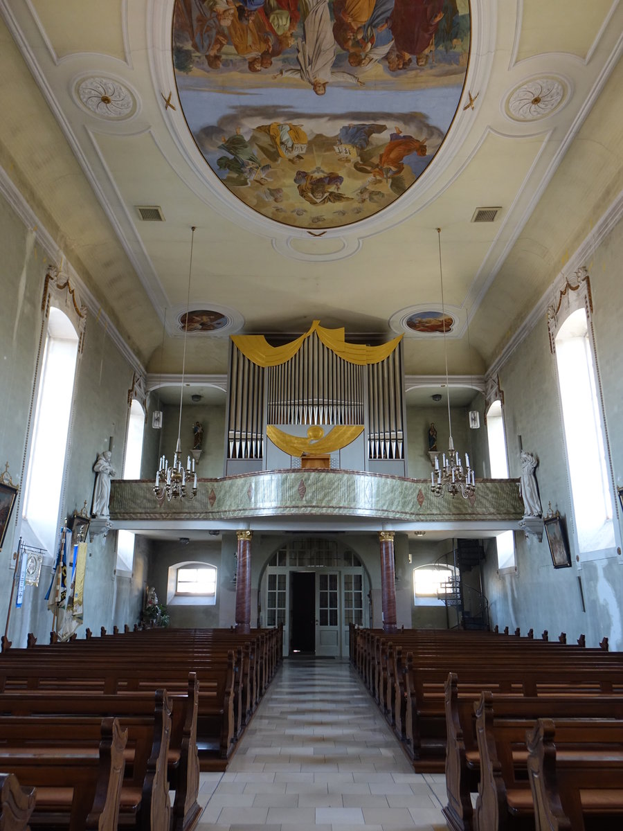 Donnersdorf, Orgelempore in der kath. Pfarrkirche St. Johannes der Tufer (14.10.2018)