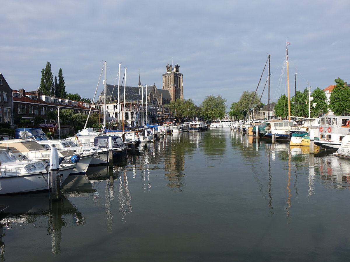 Dordrecht, Wijnhaven mit Grotekerk (11.05.2016)