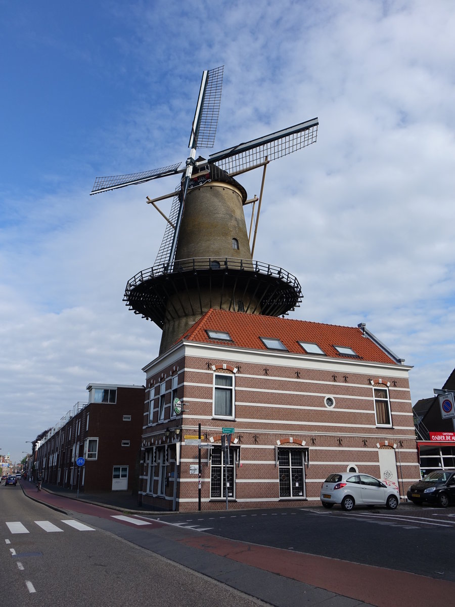Dordrecht, Windmühle Kych over den Dyck in der Biesboschstraat (11.05.2016)