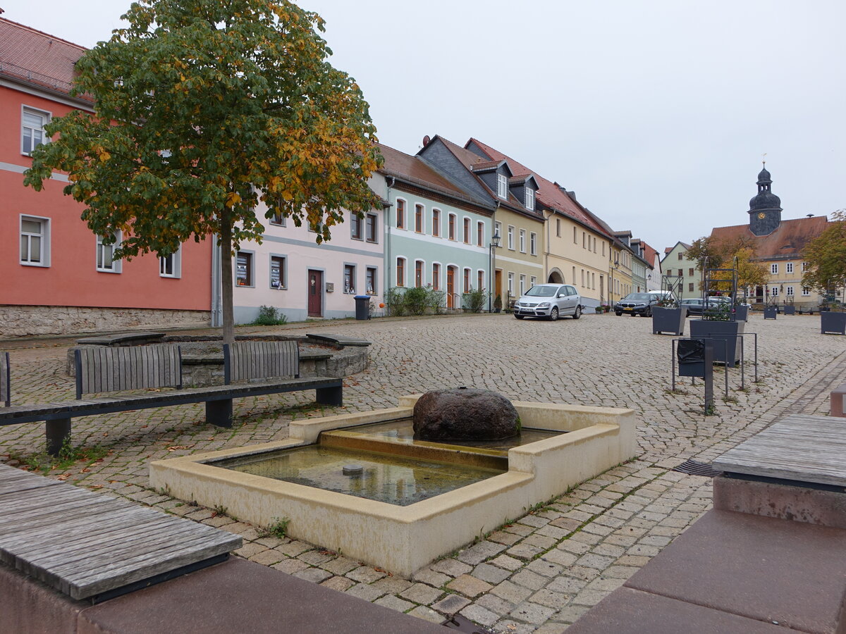 Dornburg, Brunnen und Rathaus am Markt (21.10.2022)