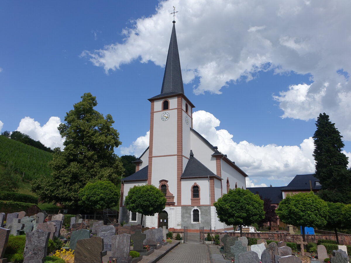 Dreis, kath. Pfarrkirche St. Martin, erbaut von 1755 bis 1756 (23.06.2022)