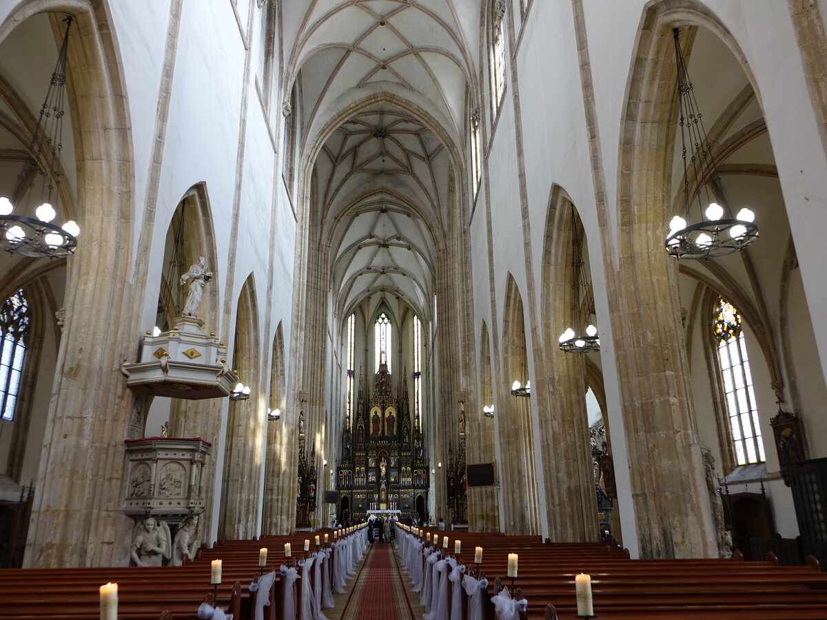 dreischiffige Kirche mit Querhaus, Mittelschiff der St. Peter und Paul Kirche (11.09.2021)