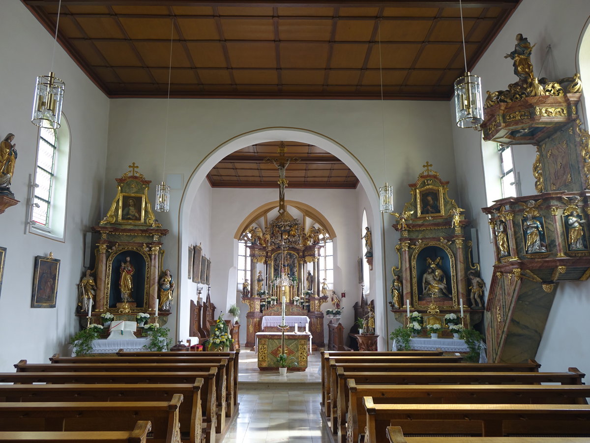 Drosendorf am Eggersbach, Innenraum der Maria Heimsuchung Kirche (28.03.2016)