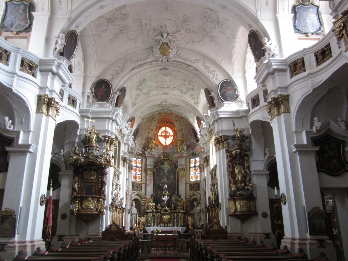 Drnstein, ehem. Augustiner Chorherren Stiftskirche Maria Himmelfahrt, Stuck von Santino Bussi, Bilder der Seitenaltre vom Kremser Maler Schmidt (22.09.2013)