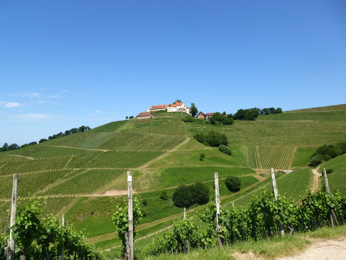 Durbach, hoch ber dem bekannten Weinort in der Ortenau liegt die Burg Staufenberg mit Weingut und Restaurant, Juni 2015