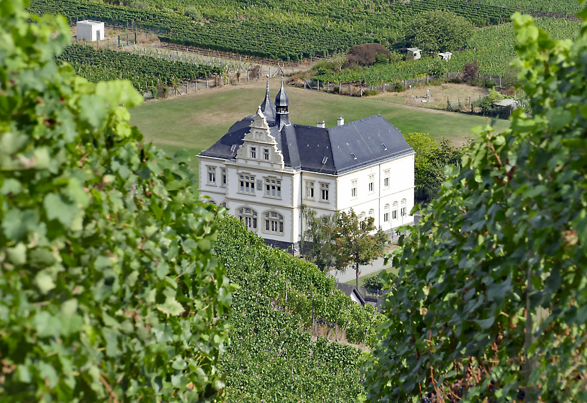 Durch den Weinberg Blick auf ein Stadthaus in Ahrweiler  09.09.2018