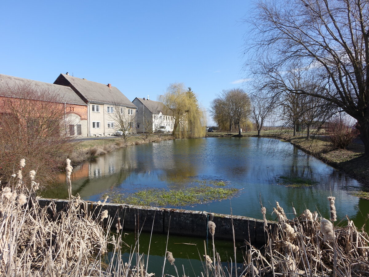 Eckmannsdorf, H�user am Dorfteich (10.03.2026)
