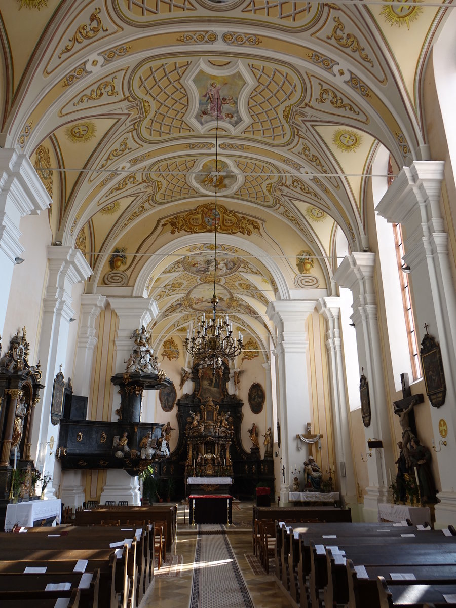 Egervar, barocke Ausstattung in der St. Katalin Kirche (29.08.2018)
