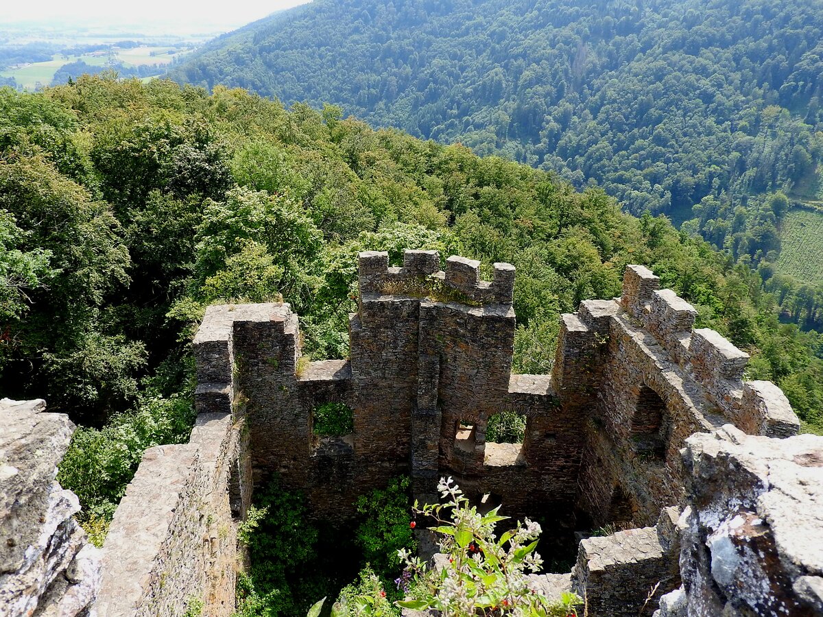 Ein Blick von, bzw. in die Burgruine-STAUF, nchst der Donauschlinge-Schlgen ins  Weite Land  bei optimaler Sicht bis nach Linz/Donau; 220815