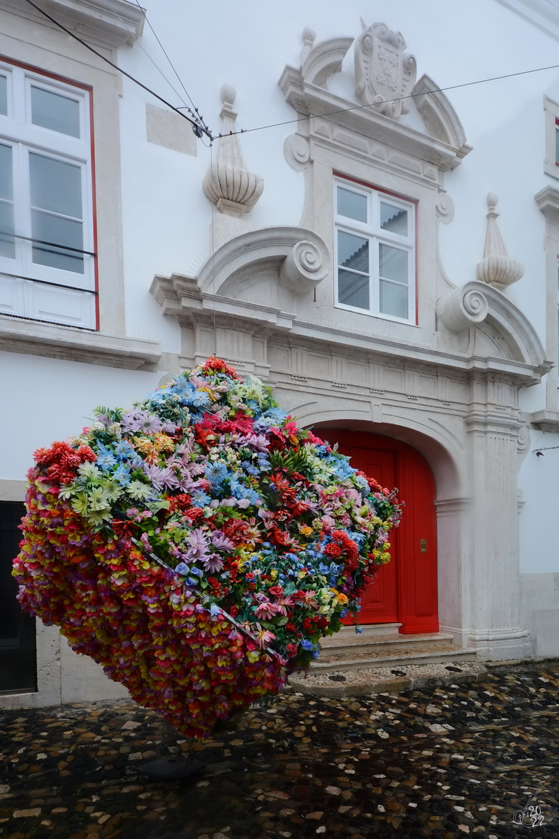 Ein bunter Blumenquader, irgendwo in die Innenstadt von Lissabon. (Dezember 2016)