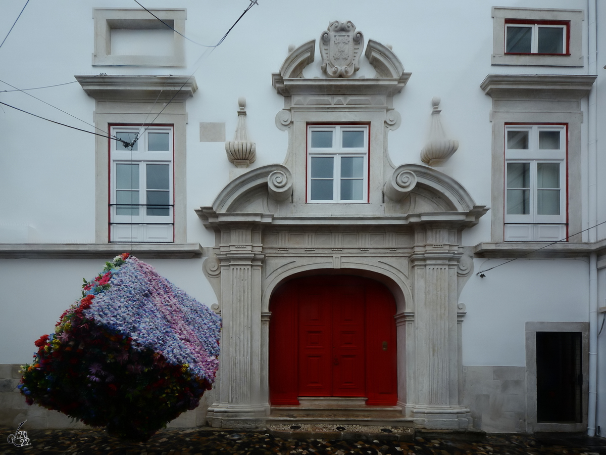 Ein bunter Blumenquader, irgendwo in die Innenstadt von Lissabon. (Dezember 2016)