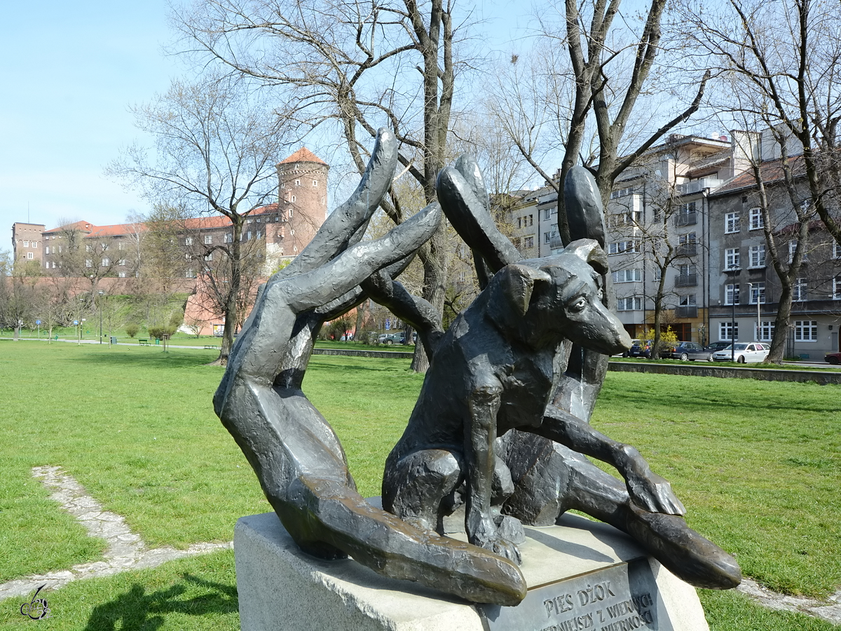 Ein Denkmal fr den besten Freund des Menschen. Es erinnert an die Geschichte eines Hundes namens Jockey, dessen Besitzer in der Nhe eines Kreisverkehres in Krakau an einem Herzinfarkt starb. Der Hund wartete dort stndig auf seinen Herrchen und wurde von den Einheimischen gefttert. Nach einem Jahr lie er sich von einer neuen Besitzerin aufnehmen. Als diese ebenfalls starb, lief er weg, wurde er von einem Zug erfasst und tdlich verletzt. (April 2014)