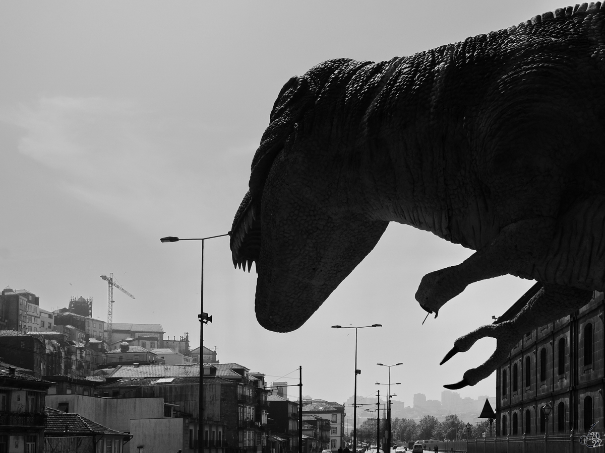 Ein Dino  bedroht  die Stadt, mein Versuch eines B-Movie-Filmausschnittes. (Porto, Mai 2013)