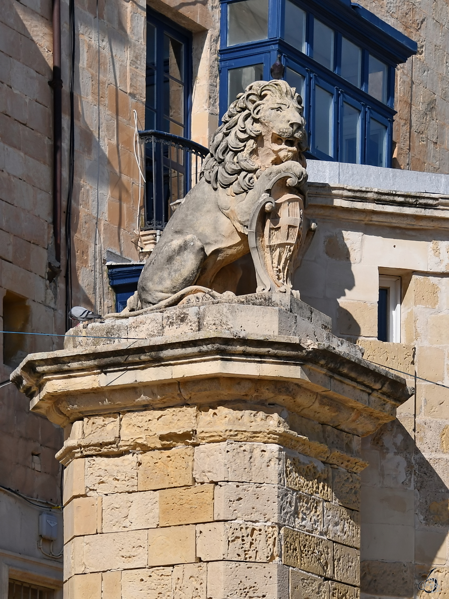 Ein Lwendenkmal in Valletta. (Oktober 2017)