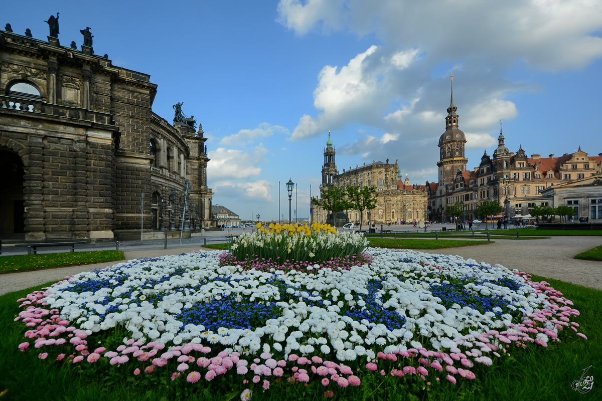 Ein mit Blumen geschmckter Kreisel in der Altstadt von Dresden. (April 2014)