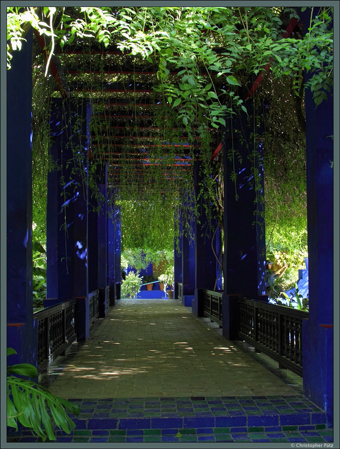 Ein schn gestalteter Laubengang fhrt am Wasserbassin des Jardin Majorelle in Marrakesch entlang. (18.11.2015)