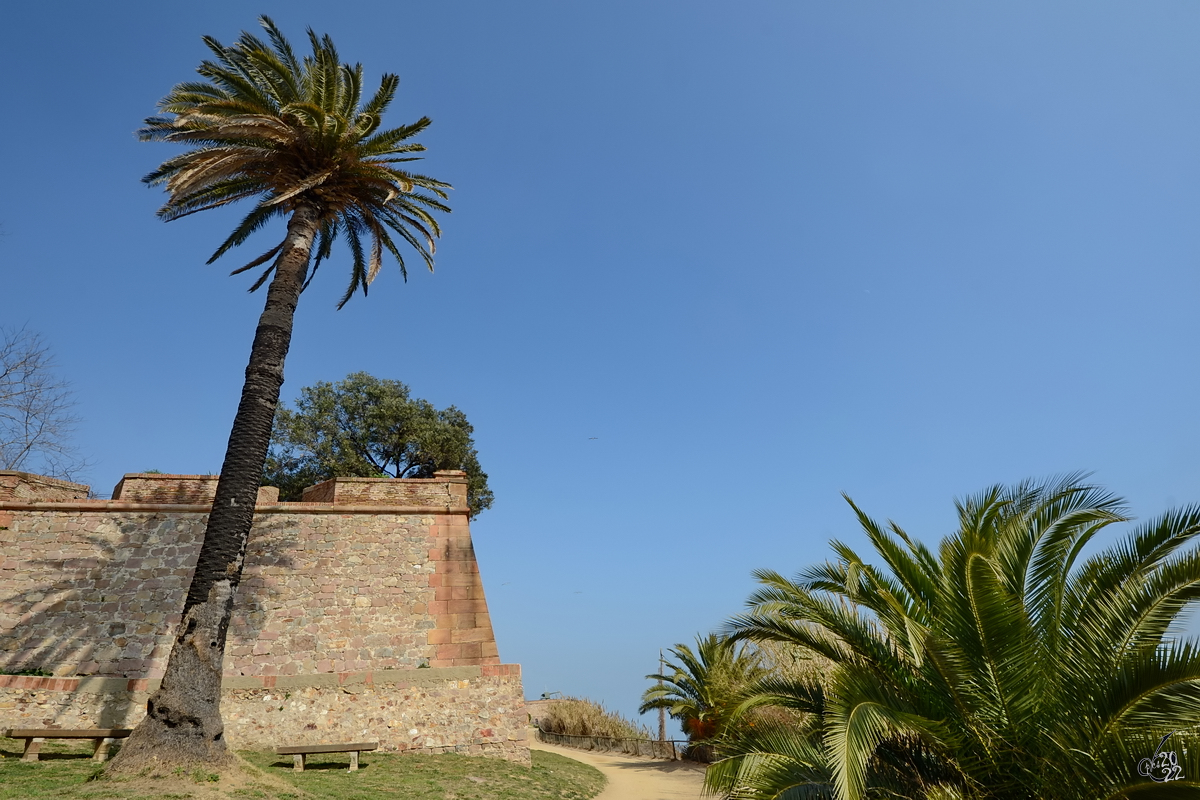 Ein Spaziergang an den Auenmauern des Castell de Montjuic, einer alten Militrfestung aus dem 17. Jahrhundert. (Februar 2012)