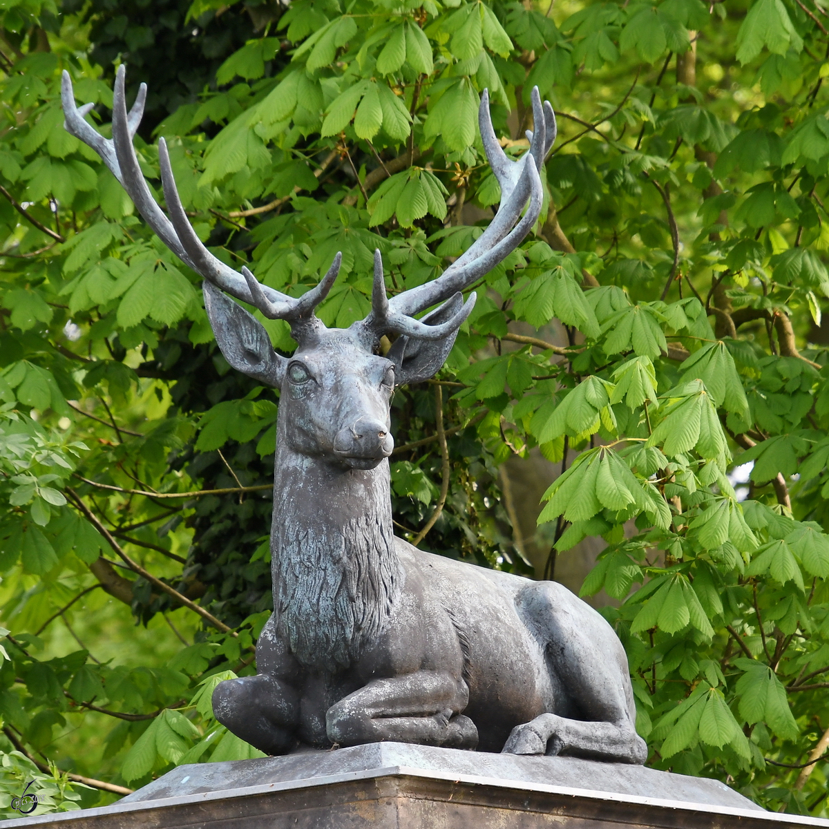 Ein stolzer Hirsch bewacht den Eingang zum Schlosspark Glienicke. (Berlin, April 2018)