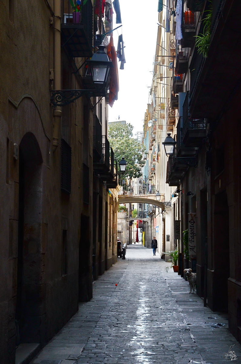 Eine enge Gasse in der Altstadt von Barcelona. (Februar 2012)