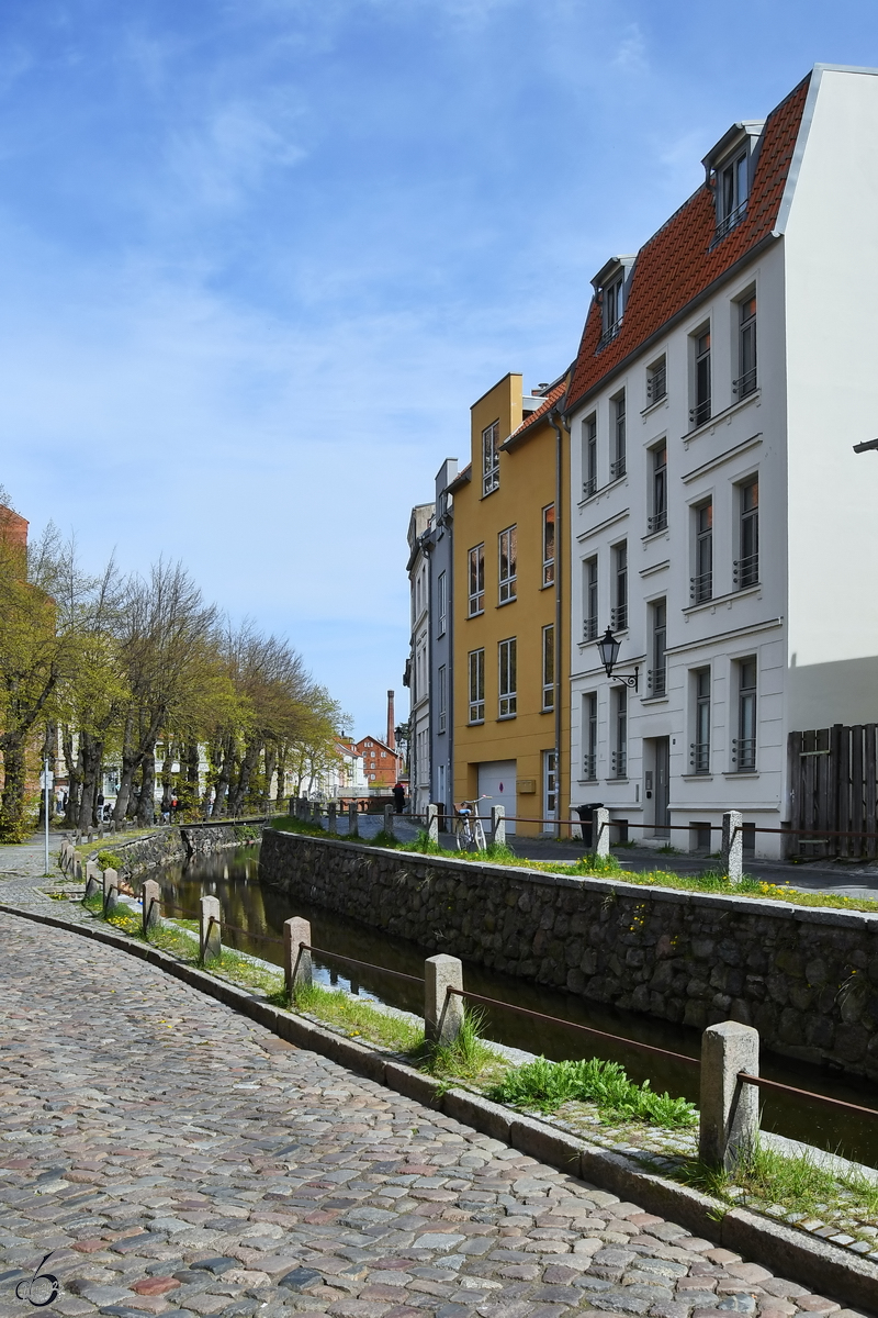 Eine Huserreihe am Mhlenbach in Wismar. (Mai 2023)