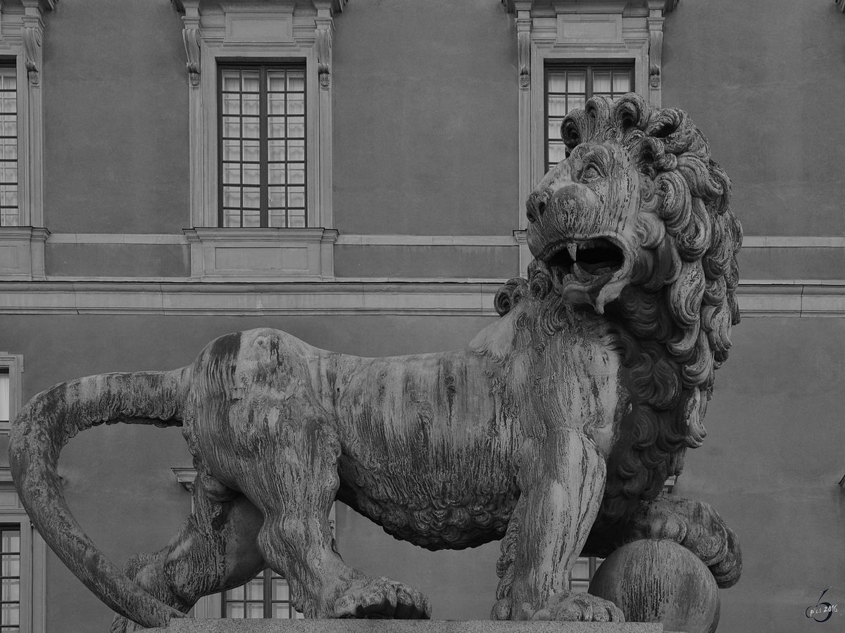 Eine Lwenskulptur am Stockholmer Schloss. (Oktober 2011)