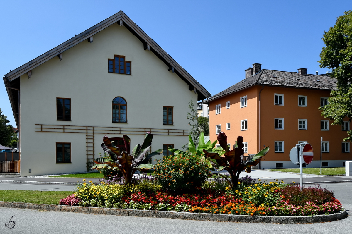 Eine reich bepflanzte Verkehrsinsel in Traunstein. (August 2020)