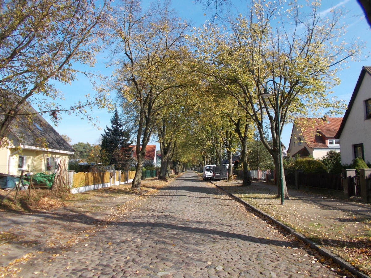 Eine Seitenstrae im Berliner Vorort Petershagen am 27.Oktober 2014.