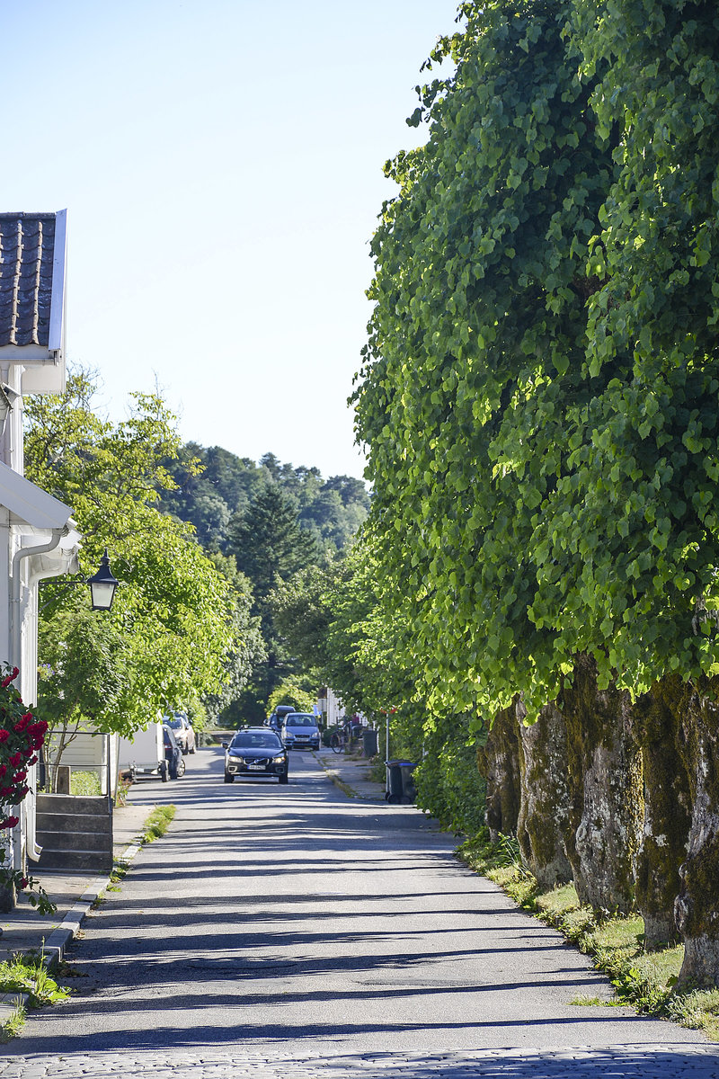 Eine stimmungsvolle Allee in der Kleinstadt Mandal im norwegischen Srlandet (auf deutsch: Sdland)
Aufnahme: 1. Juli 2018.