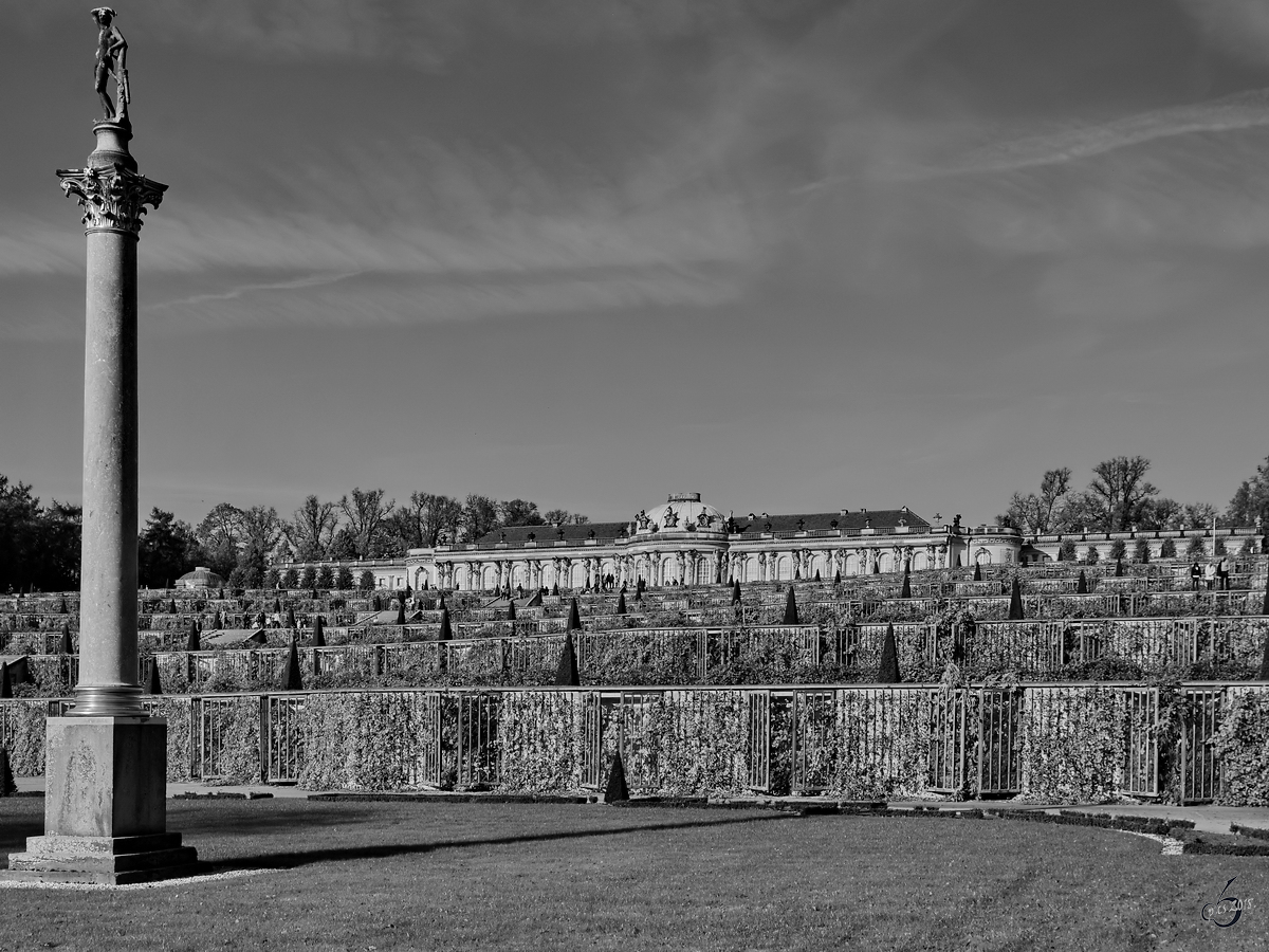 Eine der vier elf Meter hohen Sulen im Park Sanssouci, dahinter die Weinbergterassen und das Schloss. (Potsdam, November 2014)