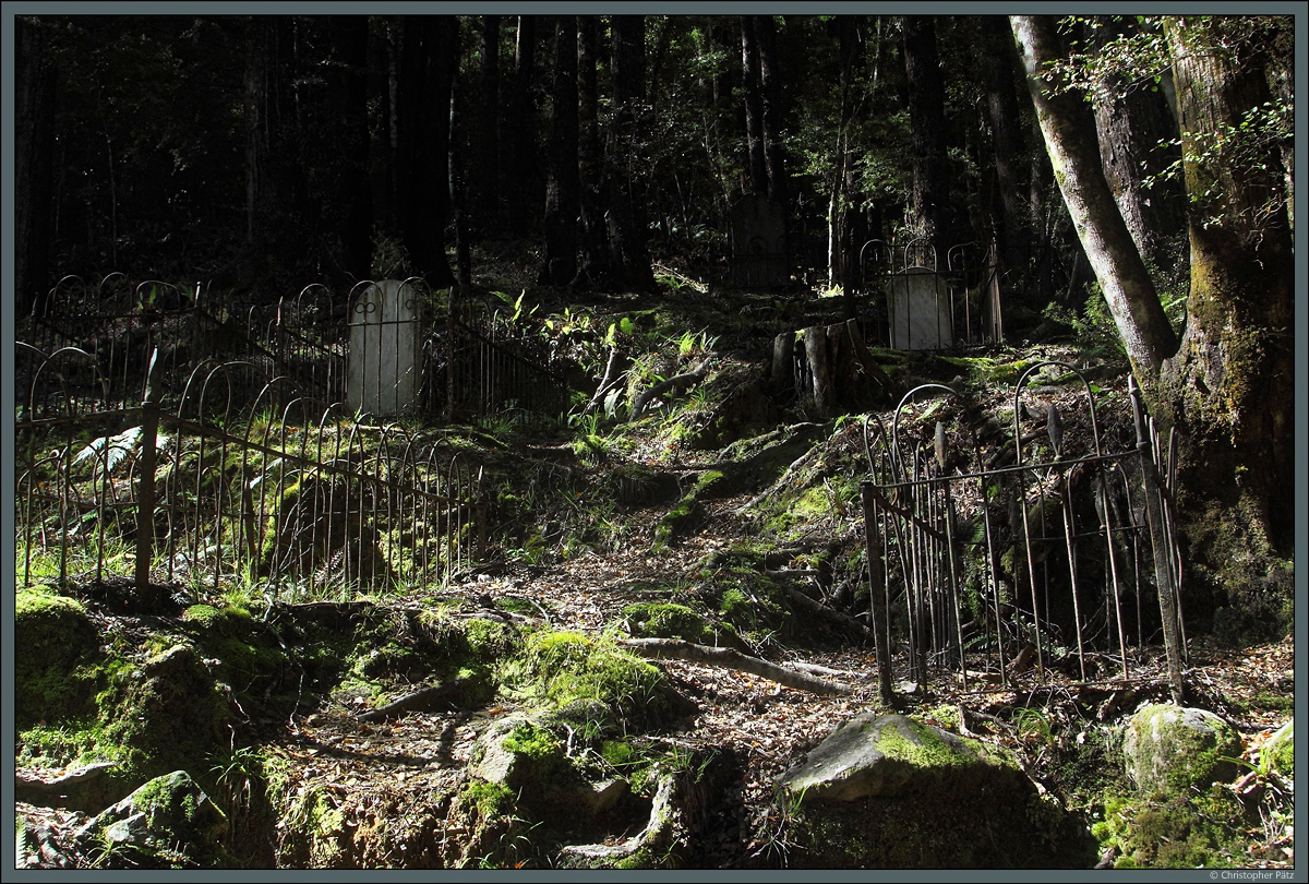 Eines der wenigen berbleibsel der ehemaligen Goldgrberstadt Lyell sind die im Wald verborgenen Reste eines Friedhofs. (22.10.2016)