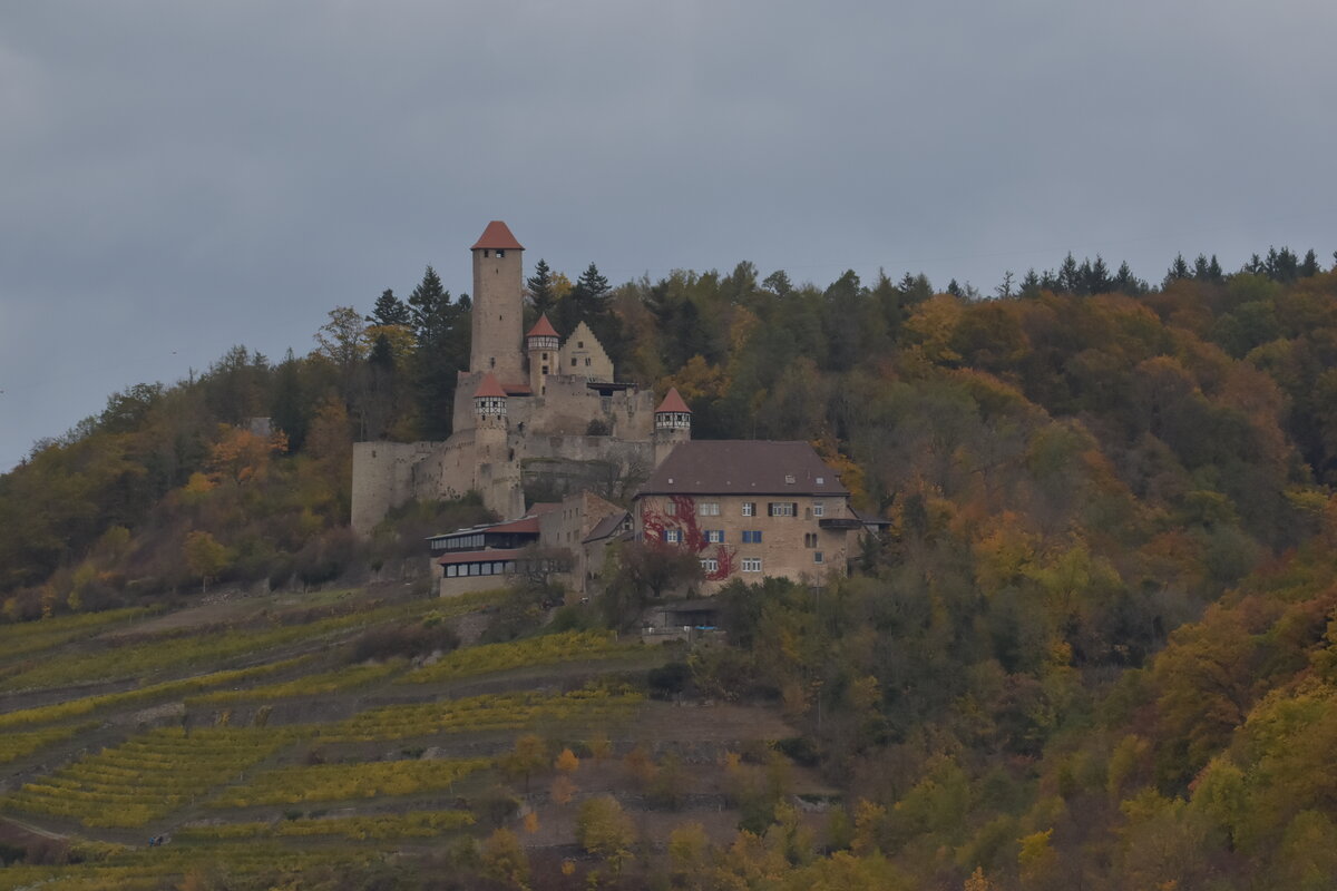 Eingebettet in die Weinberge zwischen Neckarzimmern und dem Bahnhof Hamersheim auf der rechten Neckarseite liegt die Hornberg Burg, jenes Bauwerk in dem Gtz von Berlichingen seinen Alterssitz hatte. Die Aufnahme entstand am 23.10.2021 im Tele.