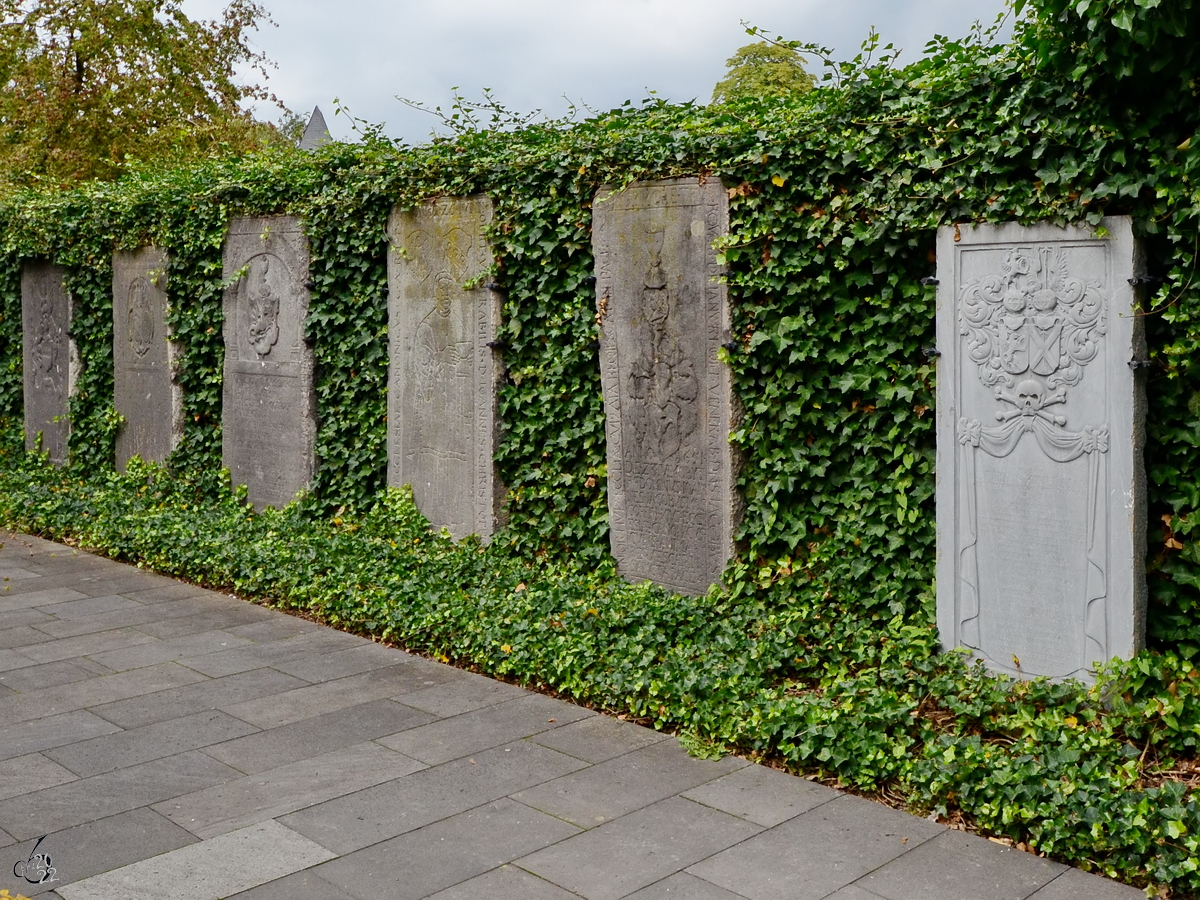 Einige Grabplatten werden im Garten der St. Kastorkirche prsentiert. (Koblenz, September 2013)