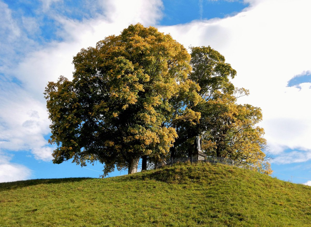 Einsiedeln, Baumgruppe am Friherrenberg, mit St. Benediktsstatue - 02.10.2015