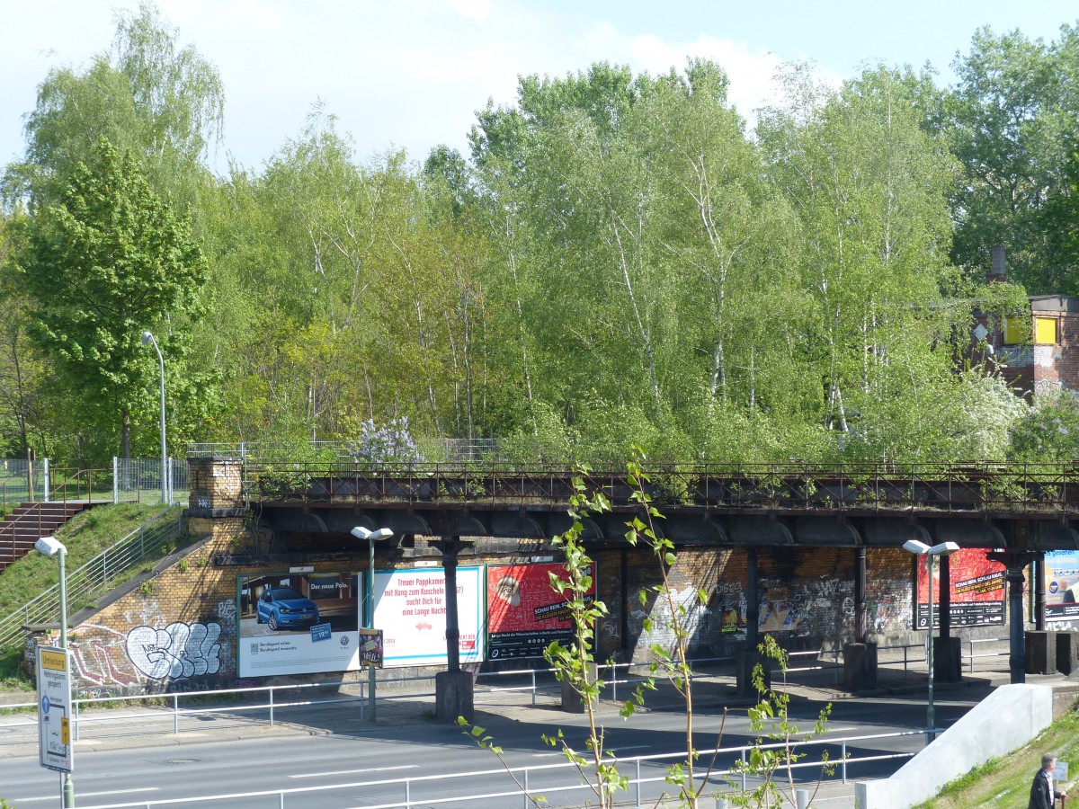 Eisenbahnbrcken ber der Yorckstrae, seit Jahrzehnten dem Verfall preisgegeben und teilweise bereits von der Natur erobert. 21.4.2014