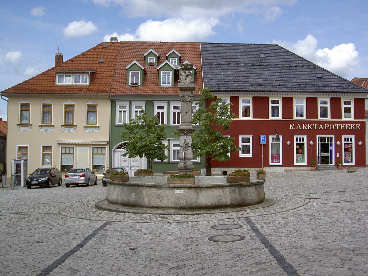 Eisfeld, Brunnen und Häuser am Marktplatz (10.06.2012)
