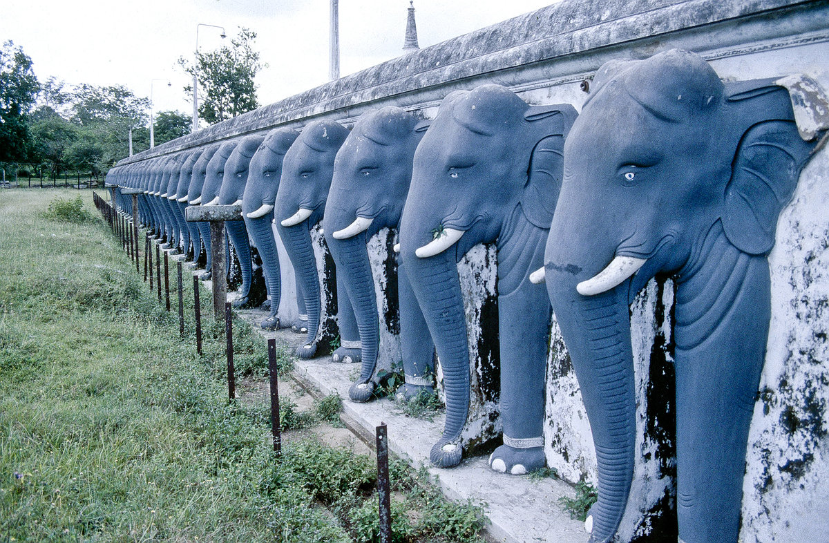 Elefanten an der Ruwanveli Sara Dagoba-Tempelanlage Anuradhapura. Bild vom Dia. Aufnahme: Januar 1989.