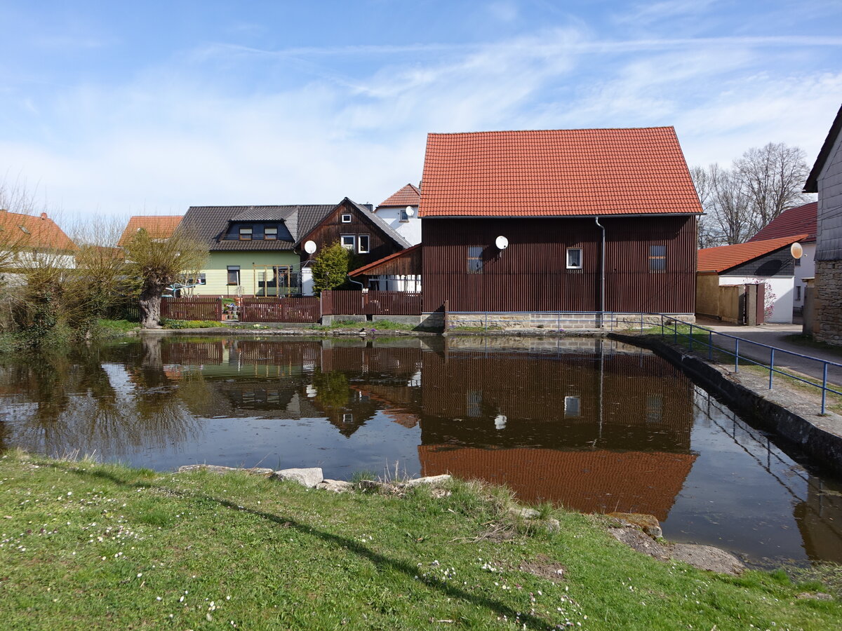 Ellichleben, Lschteich in der Steingasse (17.04.2022)